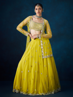 Zarika Lehenga Set
